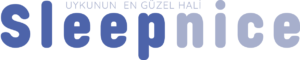 sleepnice-logo PNG